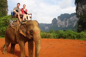 Elephant Trekking Krabi | Gillhams Fishing Resorts